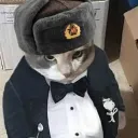 soviet_cat avatar