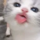 vqler