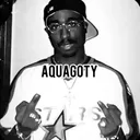 aquaplayzzfn