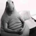 avatar Octav.foca geniu 💤🧊