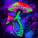 zeezay