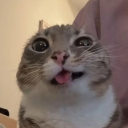 Discord Avatar
