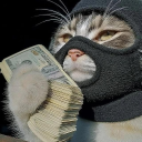 avatar 🌟(💲𝐀𝐋𝐓𝐑𝐈𝐗💲)🌟