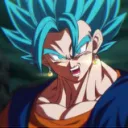 .vegetto2.0