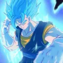 .vegetto2.0
