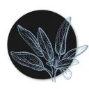 sage.blue
