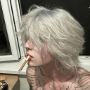 avatar Westires