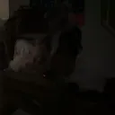 ghostkyd4life
