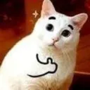 cloakiecloaked