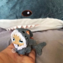 avatar sharky