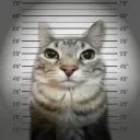 .eevee120302. avatar