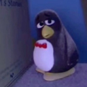 avatar xavierwulfsrightkidney15