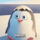 Discord Avatar