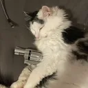 thomasmybeloved