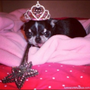 avatar uncle pickle 🐆