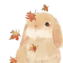 jxqt7