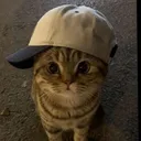 _tynox