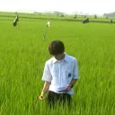 petkotheworld