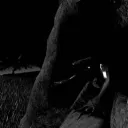 dillpickle_500 avatar