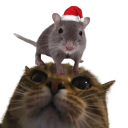 avatar ₉ Sleepy ⁹ Fish ₉