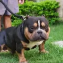 Аватар kiringel