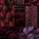 avatar Sᥱᥣᥣყ