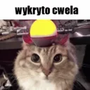 zi3mniaczek