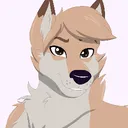 levithecorsacfox