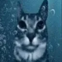 Аватар nazario010