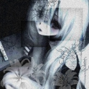 avatar 《☆livy☆》