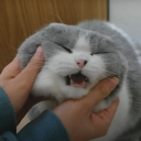 amusantmt927's Avatar