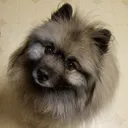 bowsr