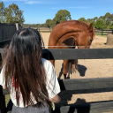 avatar ᵗⁱᵖᵖⁱᵗ