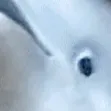 rglgg