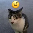 sircatson.exe