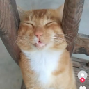 avatar Pearlyamilia💕💕