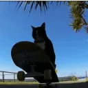 .kakto3
