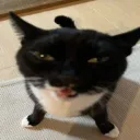 Аватар delaxew