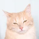 obixi