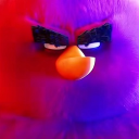 inshallahhabibi's Avatar