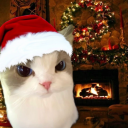 avatar νισℓєт