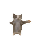 avatar marieprivatea