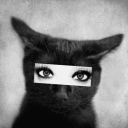 avatar clair de lune
