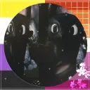 genderless._.bitch