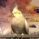 matix_games