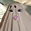 cozybf