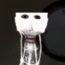 imsosillyhowdyouknow avatar