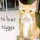 Sunny Profile Picture