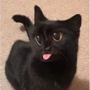 mirannoble