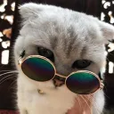 Аватар lolik7655